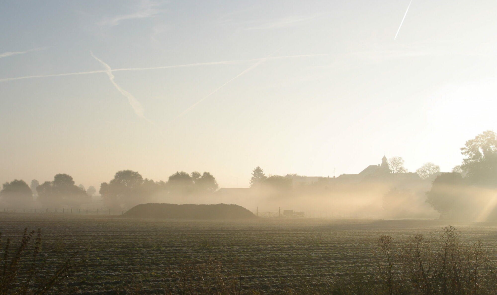 Herbst und Rüben